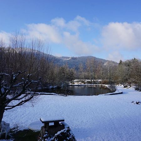 La Maison Et L'Etang - Grand Terrain Prive Vagney Dış mekan fotoğraf
