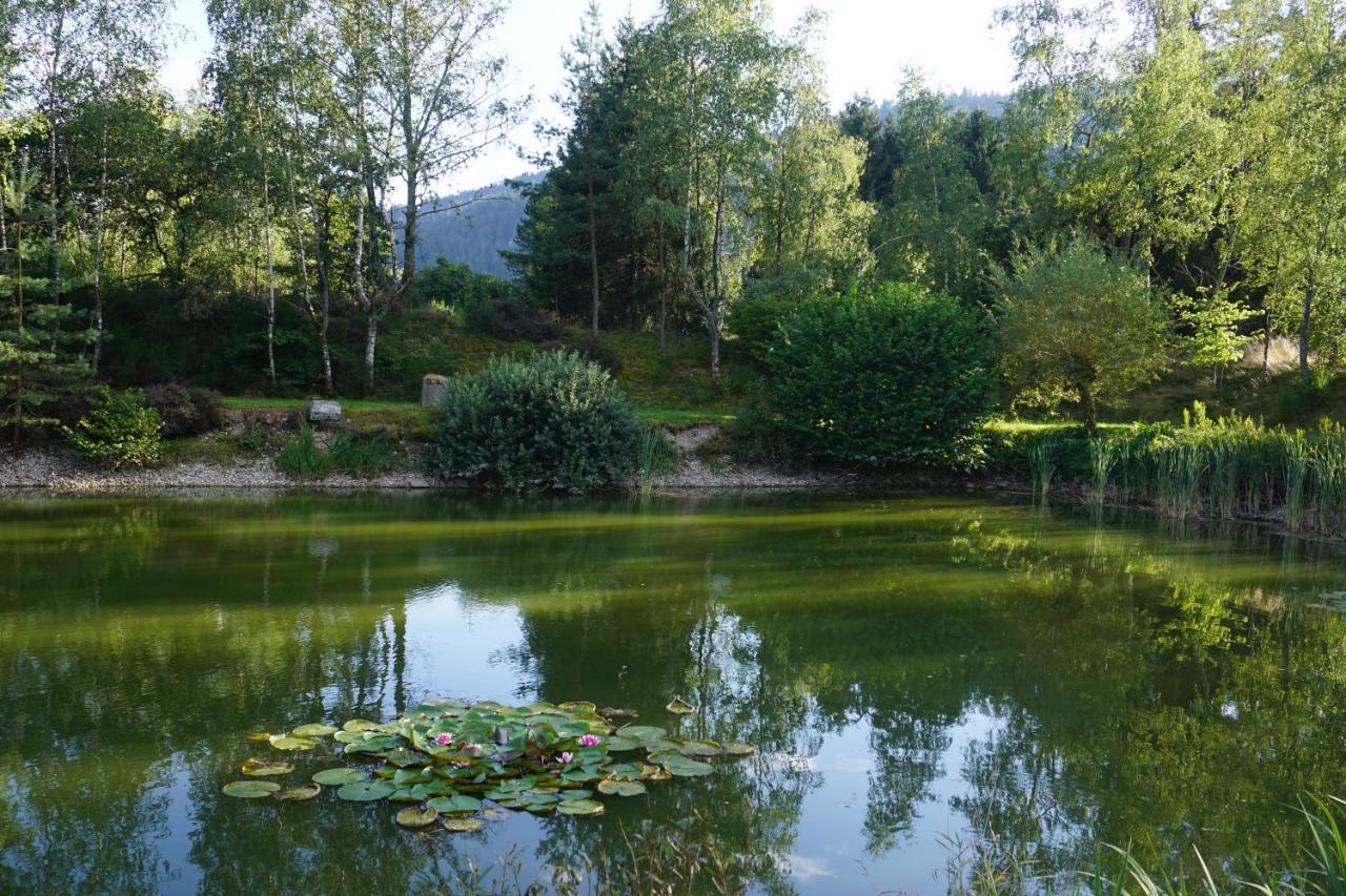 La Maison Et L'Etang - Grand Terrain Prive Vagney Dış mekan fotoğraf