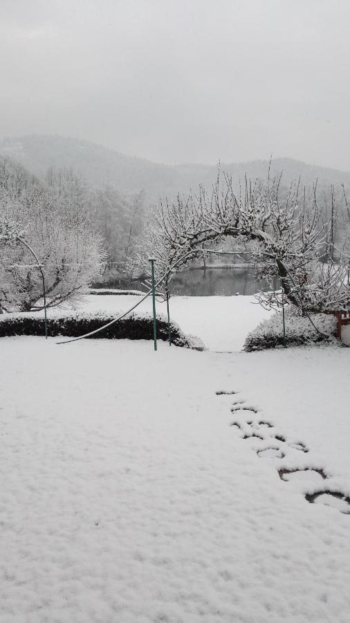 La Maison Et L'Etang - Grand Terrain Prive Vagney Dış mekan fotoğraf