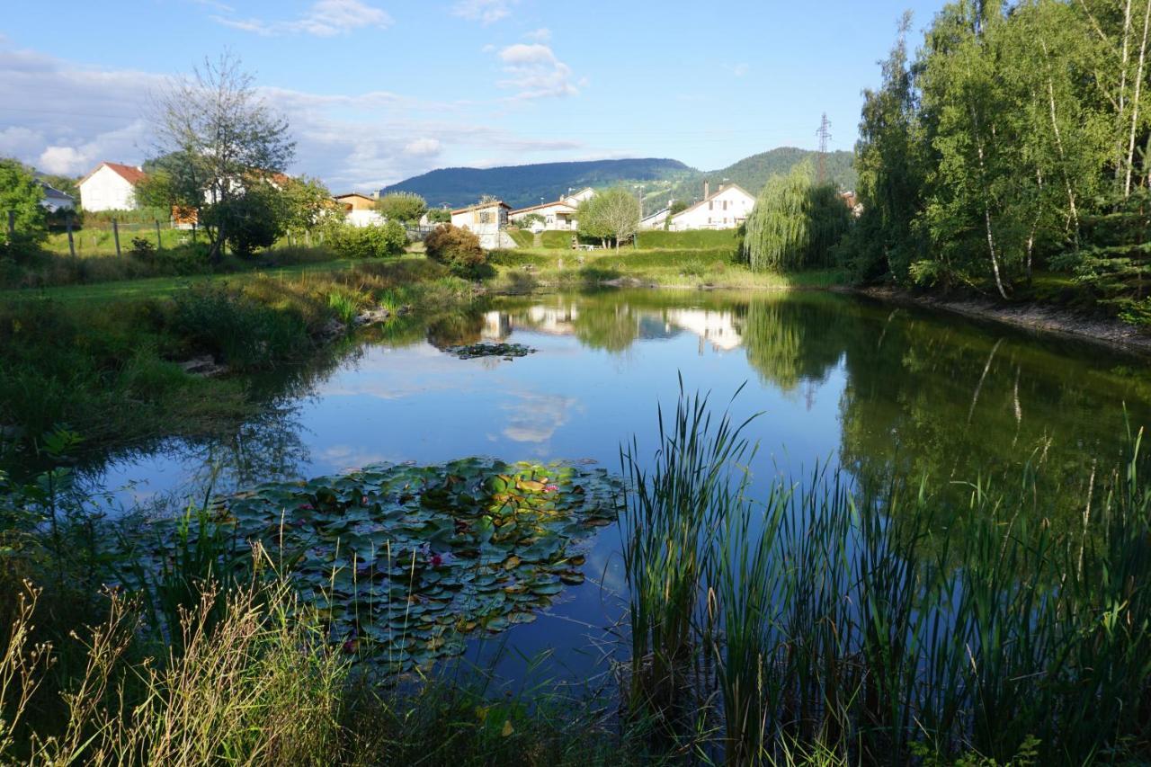 La Maison Et L'Etang - Grand Terrain Prive Vagney Dış mekan fotoğraf