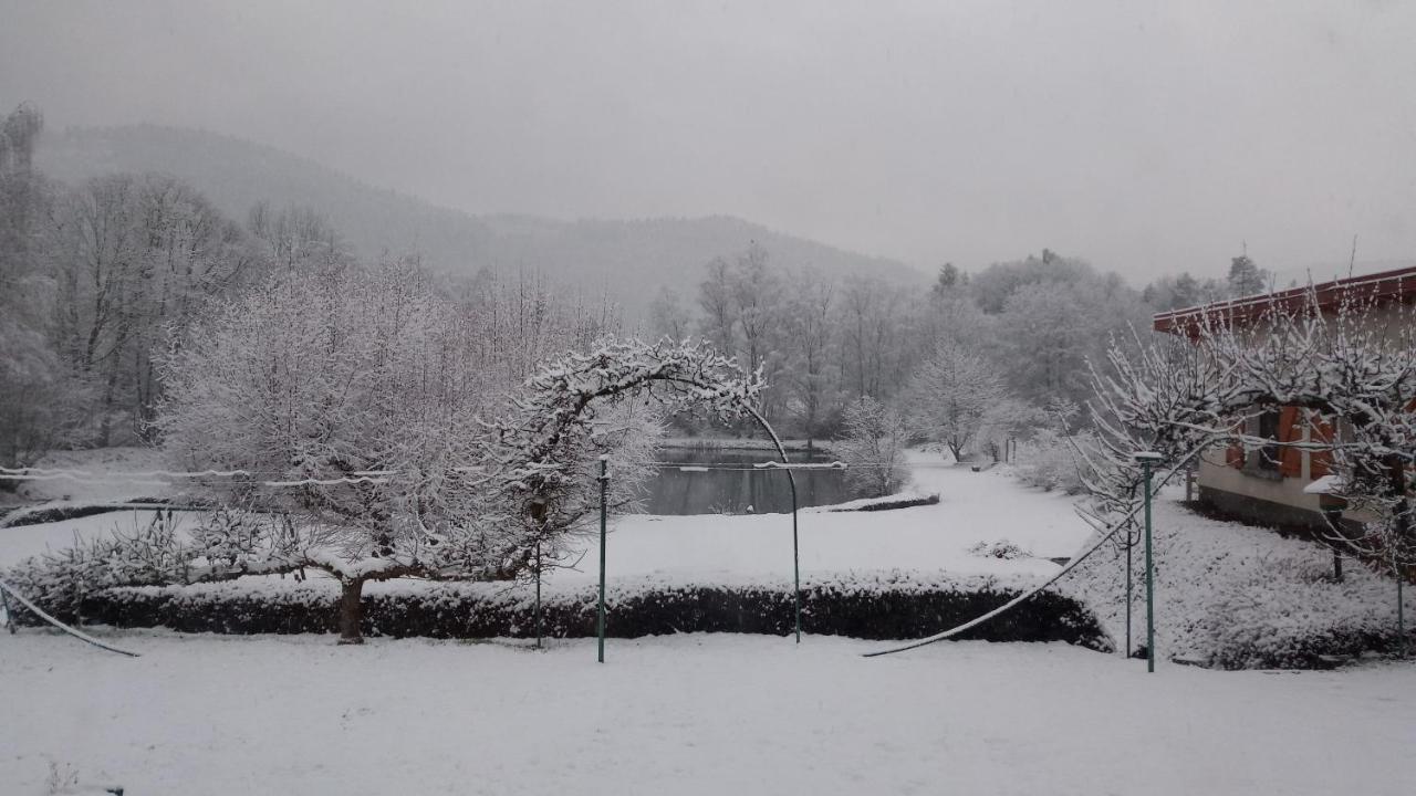 La Maison Et L'Etang - Grand Terrain Prive Vagney Dış mekan fotoğraf