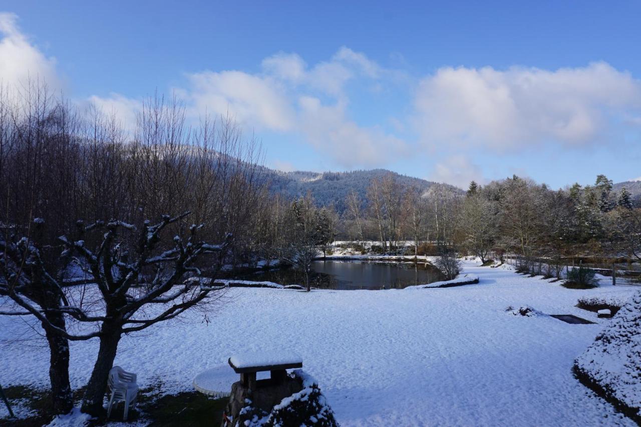 La Maison Et L'Etang - Grand Terrain Prive Vagney Dış mekan fotoğraf