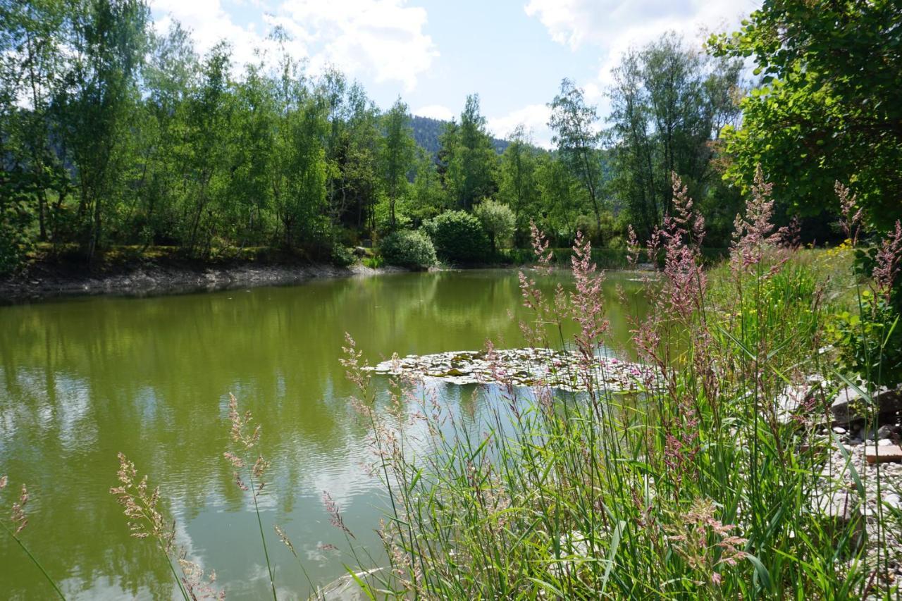 La Maison Et L'Etang - Grand Terrain Prive Vagney Dış mekan fotoğraf
